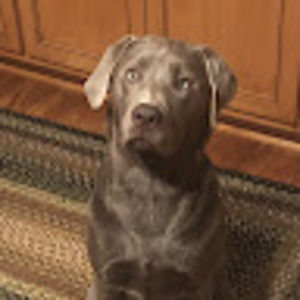 Meet your Posher, Denise